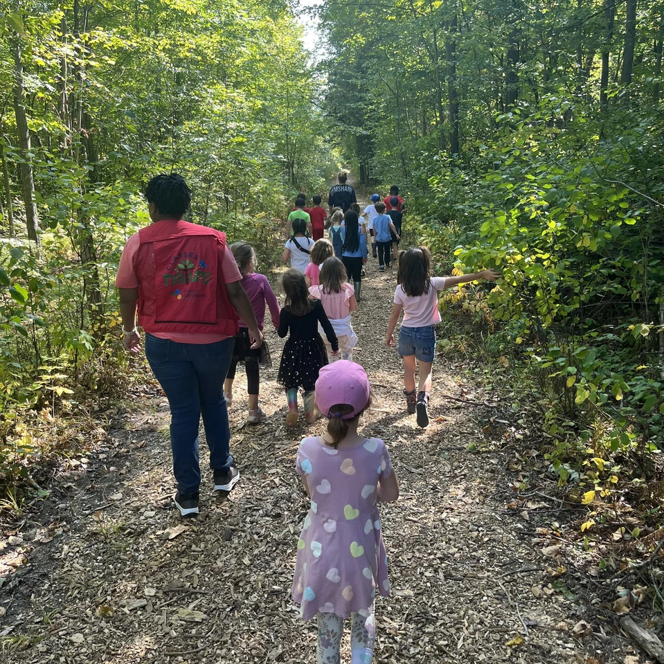 Des élèves et des adultes marchent en nature.