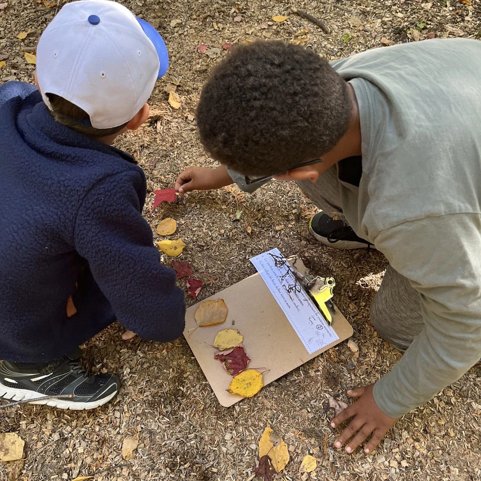 Deux élèves travaillent ensemble sur un exercice en nature.