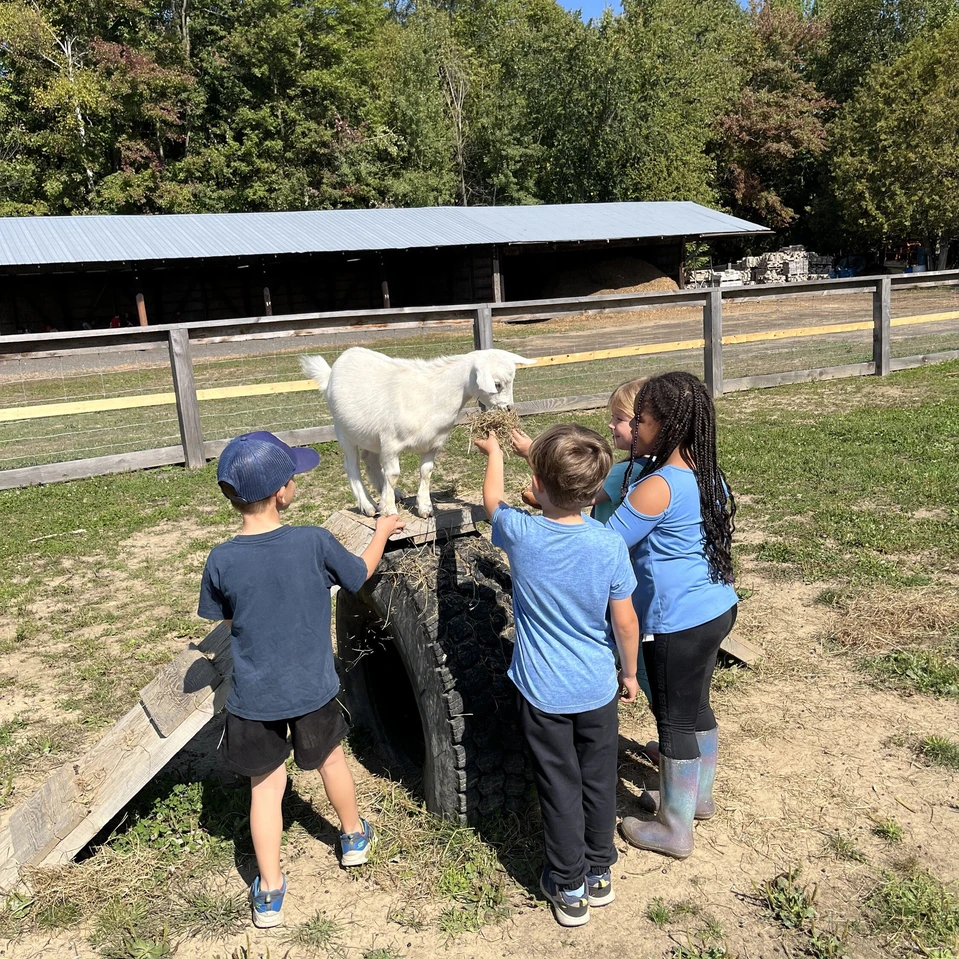 3 enfants sur une ferme près d'un animal